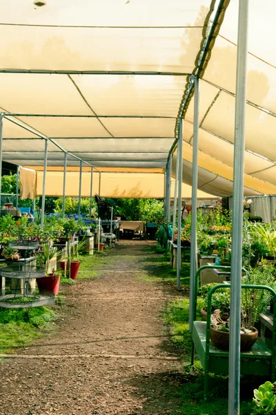 Teroova Agriculture